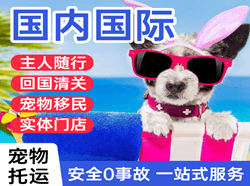 乌兰察布机场空运国际宠物托运 【国